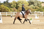 SBM_009901
