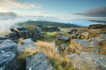 Staple Tor