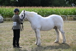 WJ6_6605