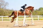 SBM_001481