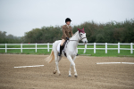 SBM_003465