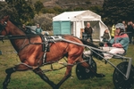 DSCF7405