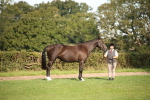 SBM_60080