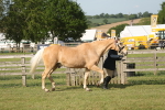 SBM_10462