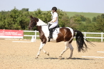 SBM_010140