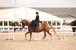 SBM_06733