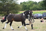 WJ6_6236