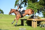 131-FORTSIDE_COBRA-Freddie_Carden-XC portfolio