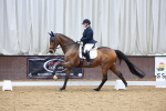 SBM_003805