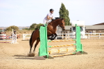 SBM_001340