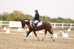 SBM_004693