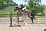 BPP_2325