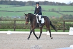 Dressage Qualifier - Click to View Photos portfolio
