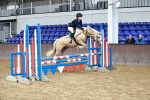 SBM_006951