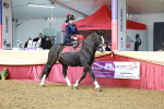 SBM_13547