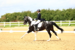 Class 14 - PSG Gold 13.56-14.52 portfolio