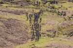 Elterwater-310