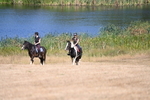 WJ6_8167