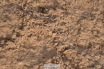 231015A-160748-09236
