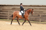 SBM_001953