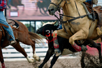 3HRodeo7-20-25_CFD_03995_