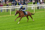 140723-Race 2-Swingalong-8130