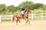 SBM_006597