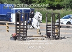 BPP_1367
