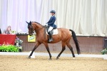 SBM_004986