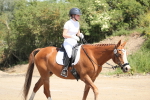 SBM_009493