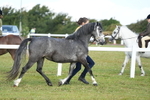 DSC04943