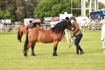 SBM_00513