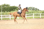 SBM_006623
