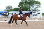 SBM_00269