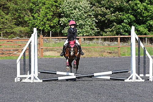 Cabin Equestrian 2026