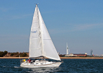 111014 FLAMINGO 5597 IMG_5984