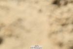 251004A-121836-00984