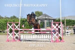 BPP_8221