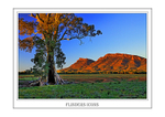 FLINDERS ICONS-Frame