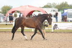 SBM_07904