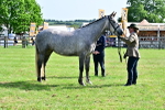 SBM_03330