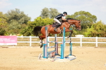 SBM_003947