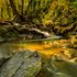 Drumleck River In Spring Sunshine