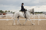 SBM_06410