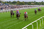 210826-Race 2-Al Nayyir-0139