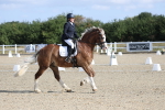 SBM_020255