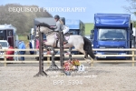 BPP_5394