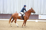 SBM_000737