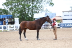 SBM_03929