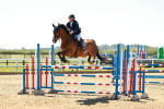 Class 4 - Senior Newcomers 1.10m portfolio